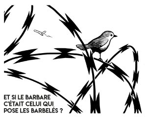 barbeles