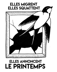 40 – Hirondelles squatteuses