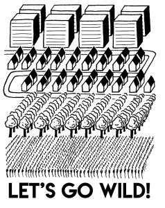 25- let&rsquo;s go wild