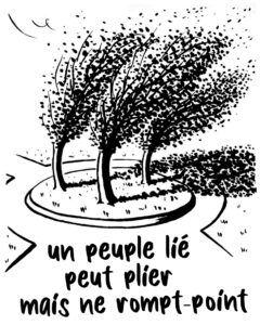 23-peuplier