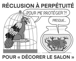 25-01-reclusion