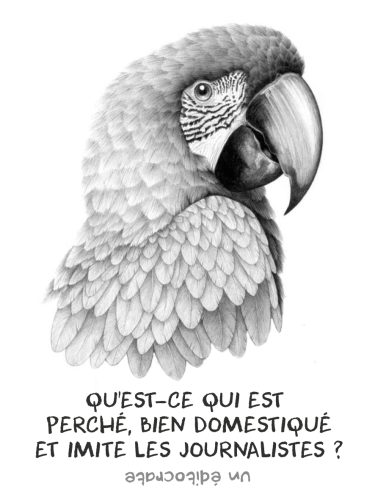 Perroquéditorialiste