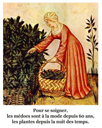 Plantes VS Médocs