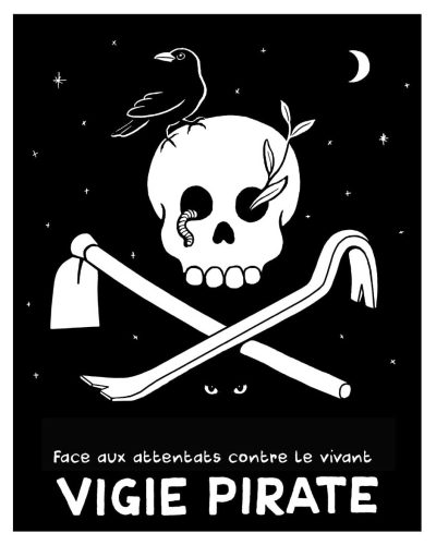 Vigie Pirate
