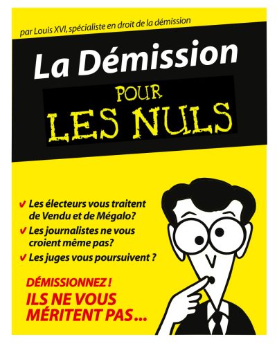 La démission pour les Nuls