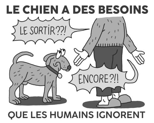 Le chien a des besoins