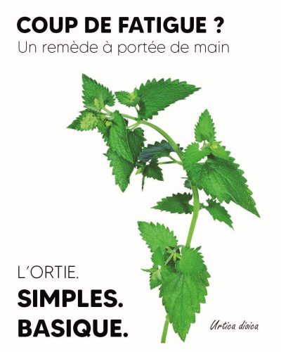 L’ortie